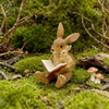 Fairy Garden Accessory Resin Animals