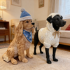 Resin Dressed Dog Puppy Sculpture