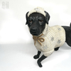 Resin Dressed Dog Puppy Sculpture