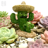  Little Resin Plants Terrarium Accessory