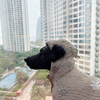 Original Life-Size Resin Puppy Sculptures