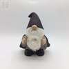 Solar Wizard Gnome Light